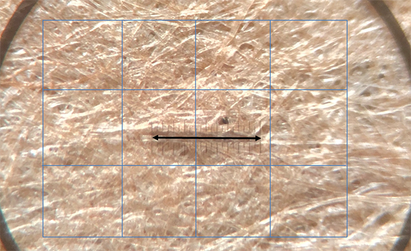 Papierstück unter Mikroskop